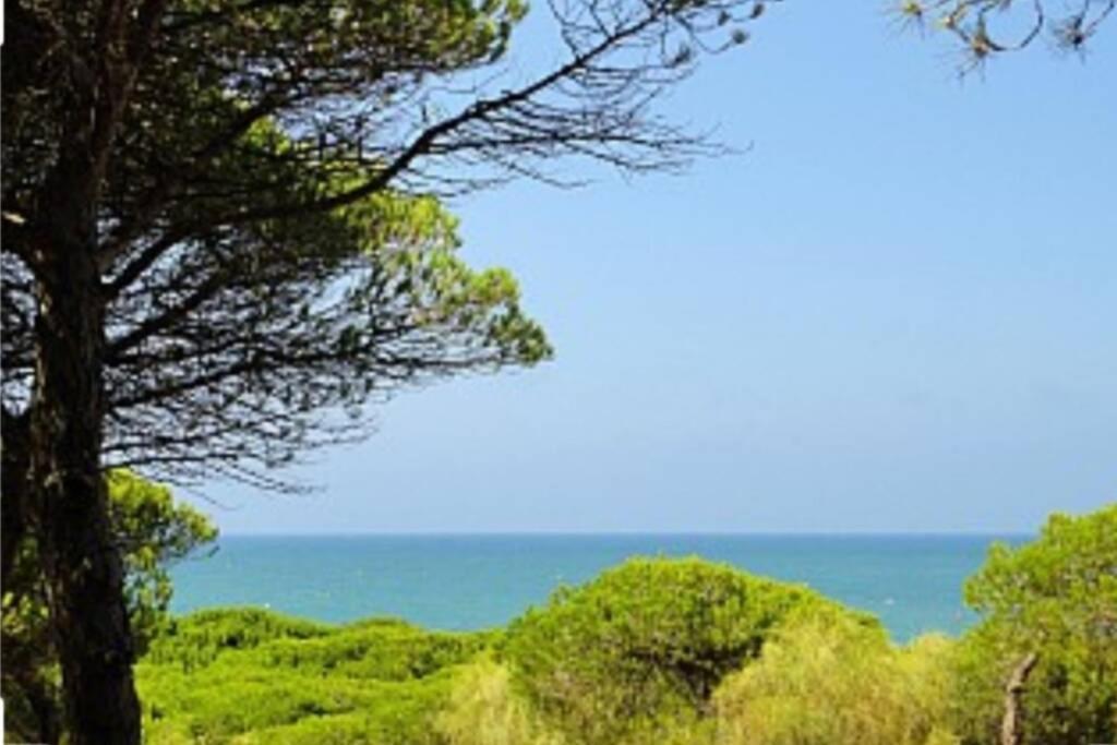 Acogedor Apartamento A 100 M. De Pinares Y Playa Lägenhet Rota Exteriör bild