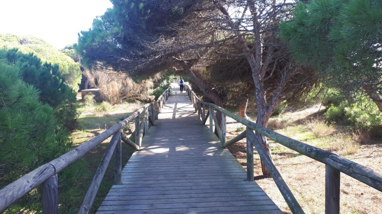 Acogedor Apartamento A 100 M. De Pinares Y Playa Lägenhet Rota Exteriör bild