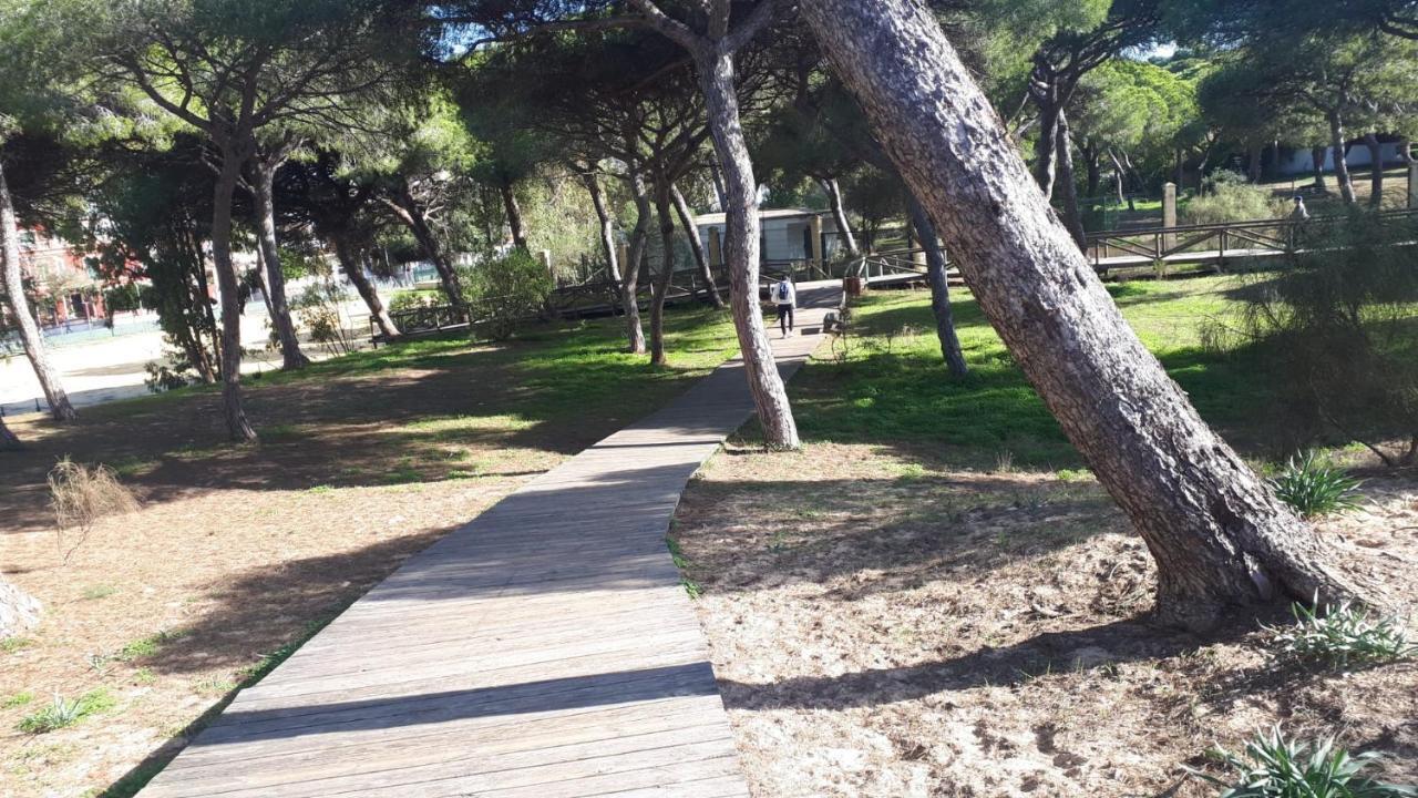 Acogedor Apartamento A 100 M. De Pinares Y Playa Lägenhet Rota Exteriör bild