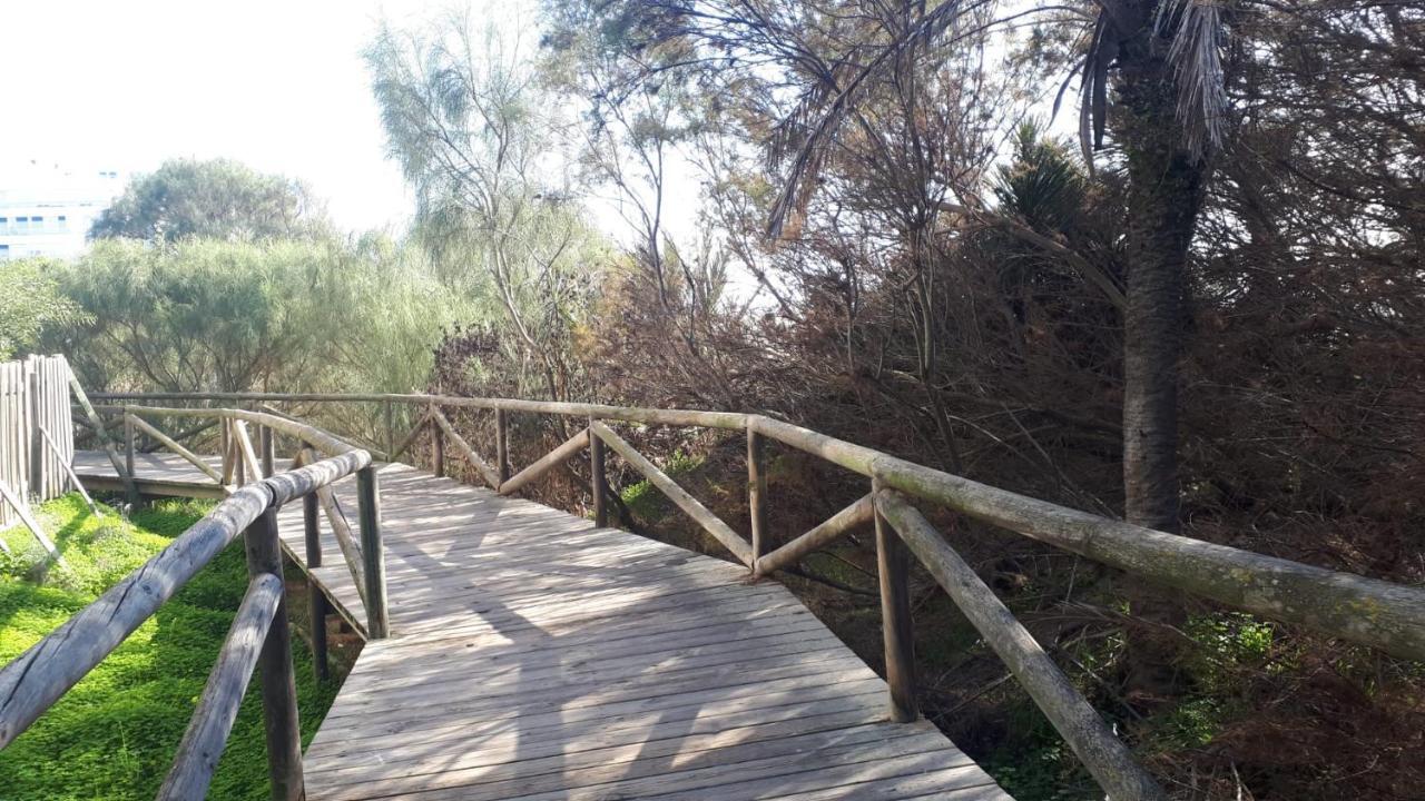 Acogedor Apartamento A 100 M. De Pinares Y Playa Lägenhet Rota Exteriör bild